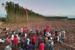 Read more about the article Justiça determina saída do MST de 3ª fazenda da Suzano