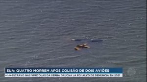 Read more about the article Quatro pessoas morrem em acidente com dois aviões na Flórida, nos EUA