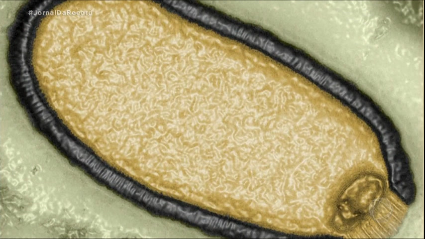 You are currently viewing Cientistas revivem vírus ‘zumbi’ congelado há mais de 48 mil anos na Sibéria