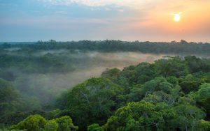 Read more about the article Clima para amanhã: confira a previsão do tempo em Manaus, neste sábado (11)