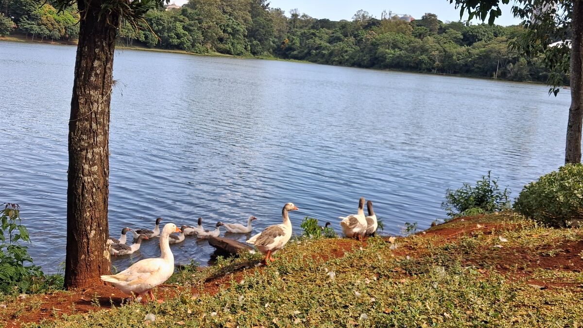 You are currently viewing Apucarana amanhece com tempo firme e calor ao longo do dia